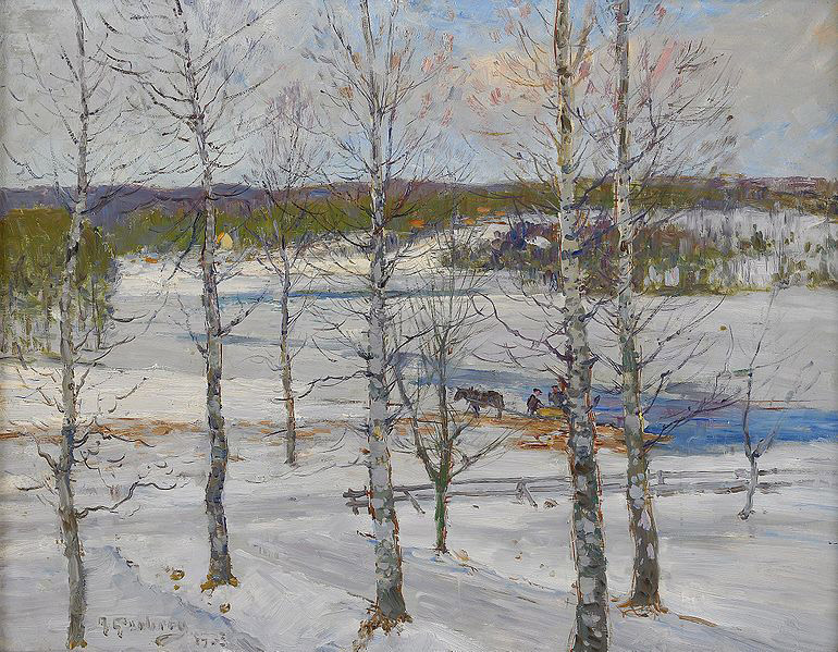 Winter landscape of Norrland with birch trees